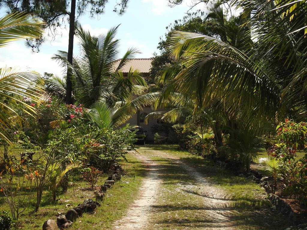 Becks Bed & Breakfast Crooked Tree Buitenkant foto
