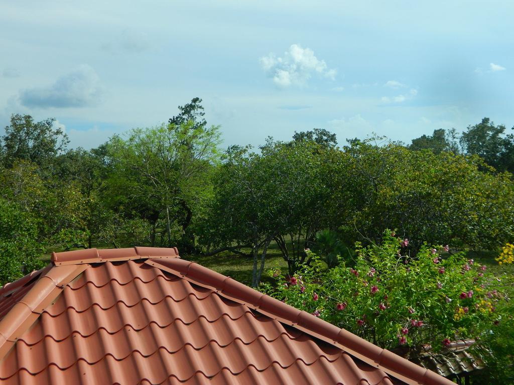 Becks Bed & Breakfast Crooked Tree Buitenkant foto
